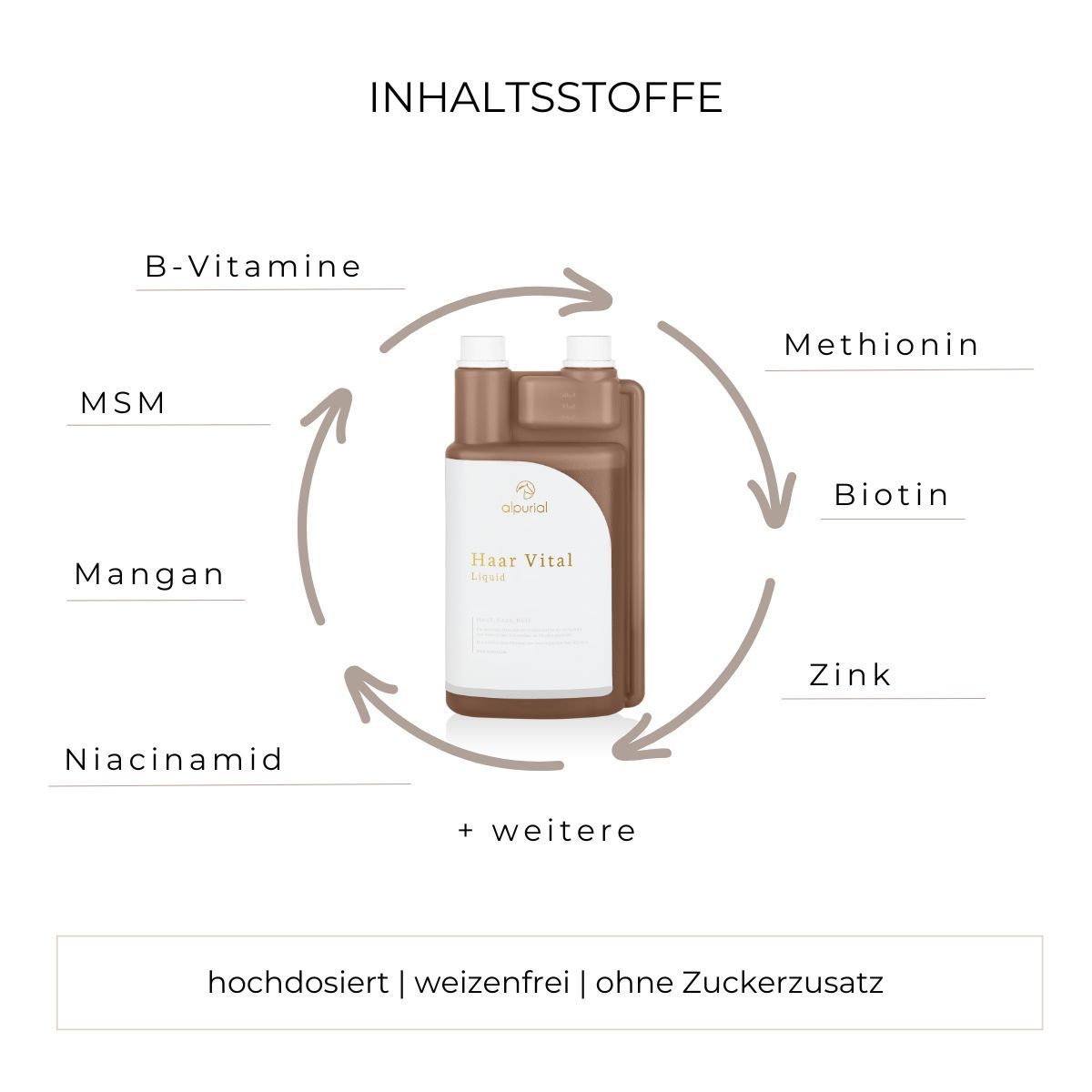Alpurial Haar Vital Liquid Flasche umgeben von Symbolen für Inhaltsstoffe wie B-Vitamine, MSM, Mangan, Niacinamid, Methionin, Biotin, Zink.