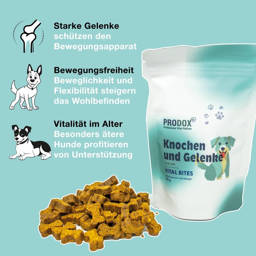 PRODOX Vital Bites-Beutel und Knochenförmige Leckerlis. Aufschrift: Knochen und Gelenke, Vital Bites. Illustrationen und Text. Blauer Hintergrund.