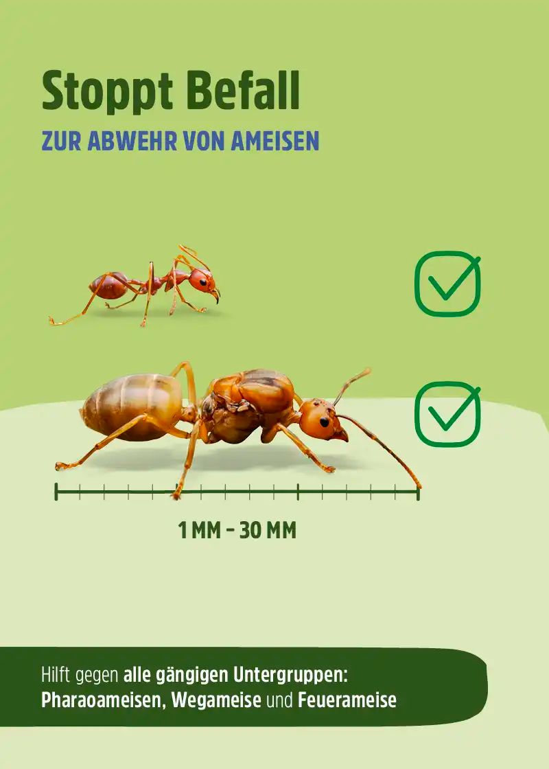 Ameisenspray | Ameisen Ex mit Langzeitwirkung