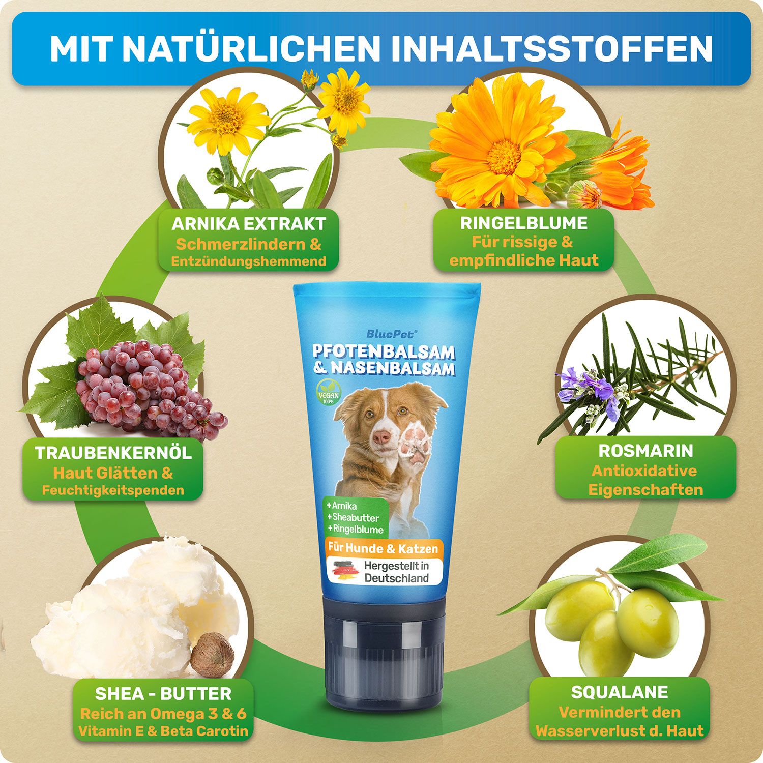 Blaue Tube BluePet Pfotenbalsam & Nasenbalsam. Mit natürlichen Inhaltsstoffen. Abbildung eines Hundes. Hergestellt in Deutschland. Inhaltsstoffe: Shea Butter, etc.