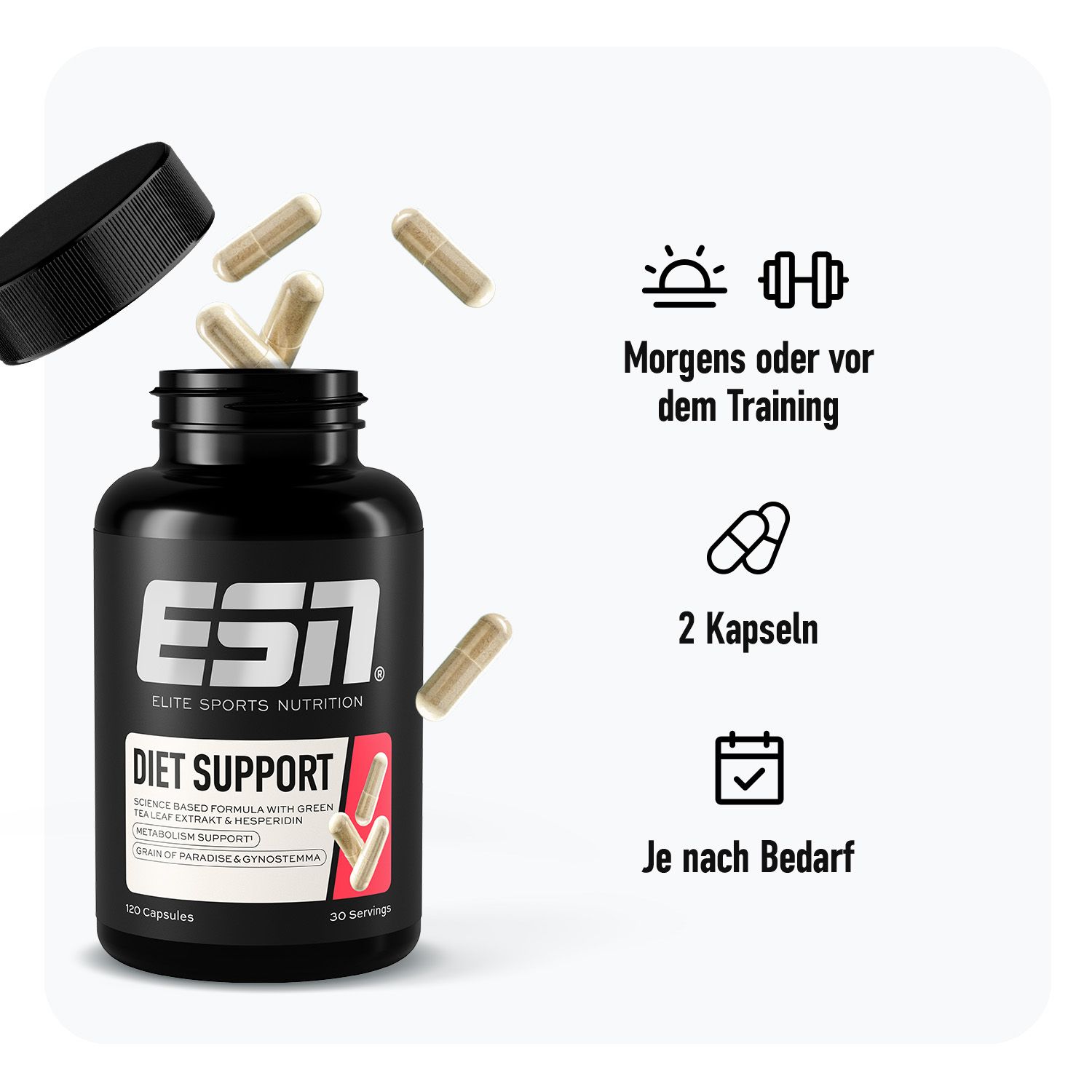 ESN Diet Support 2.0