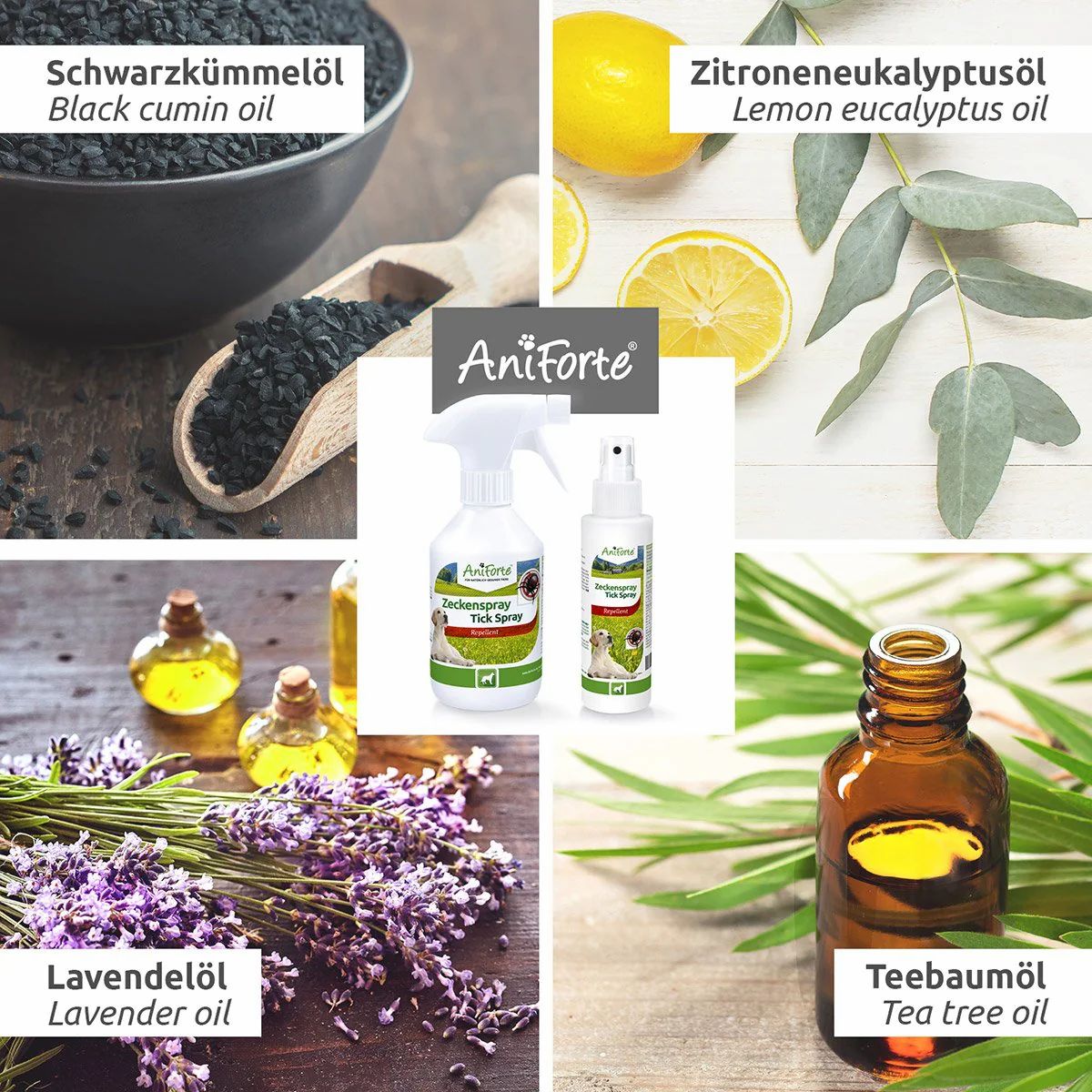 Collage mit Zutaten: Schwarzkümmelöl, Zitronen-Eukalyptusöl, Lavendelöl, Teebaumöl. AniForte-Produkt in der Mitte.