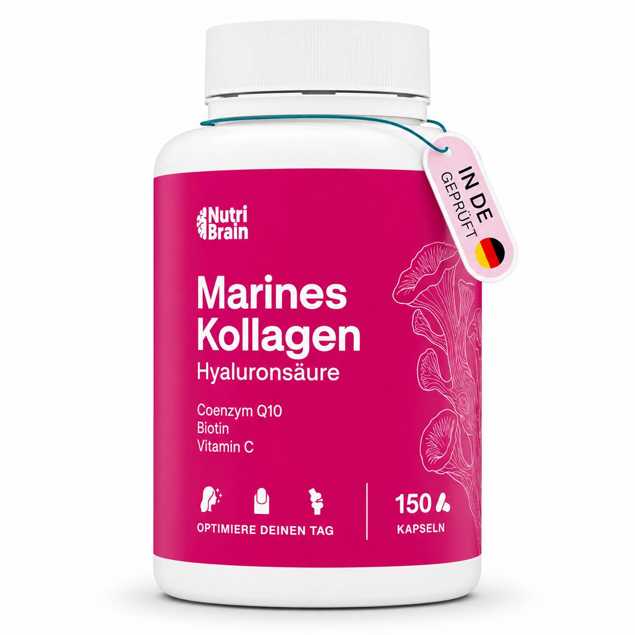 NUTRIBRAIN  Reines Marine-Kollagen  Kapsel