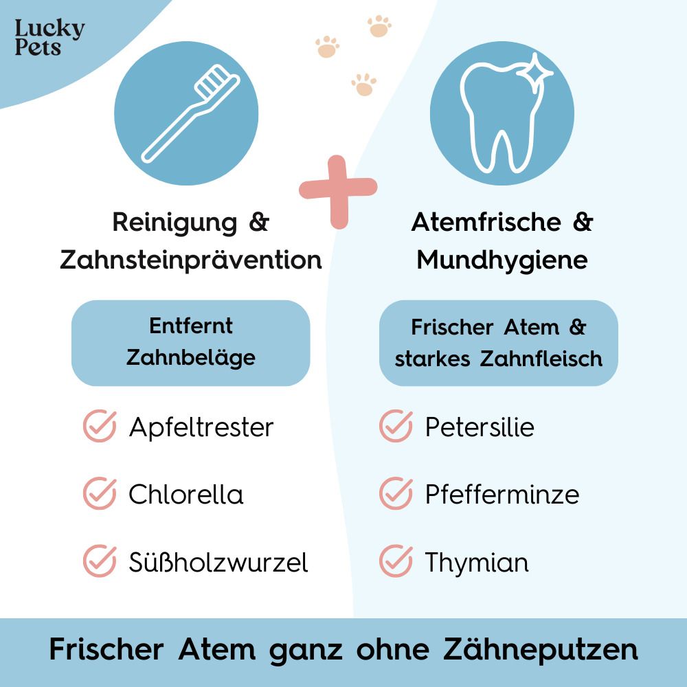 Grafik: Reinigung & Zahnsteinprävention, Atemfrische & Mundhygiene. Inhaltsstoffe: Apfeltrester, Chlorella, Süßholzwurzel, Petersilie, Pfefferminze, Thymian.