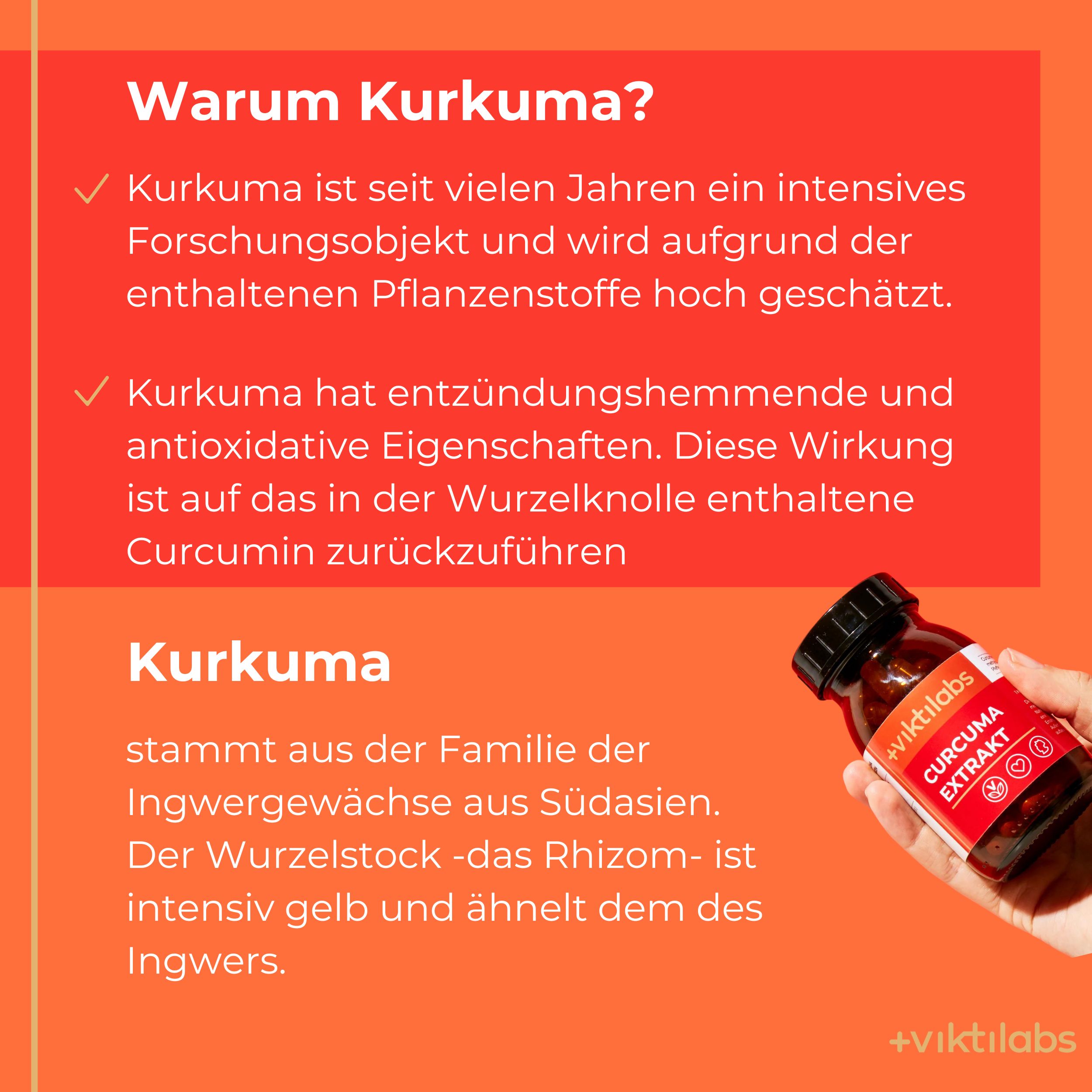 Viktilabs Kurkuma: Kombination aus Extrakt, Pulver und Piperin