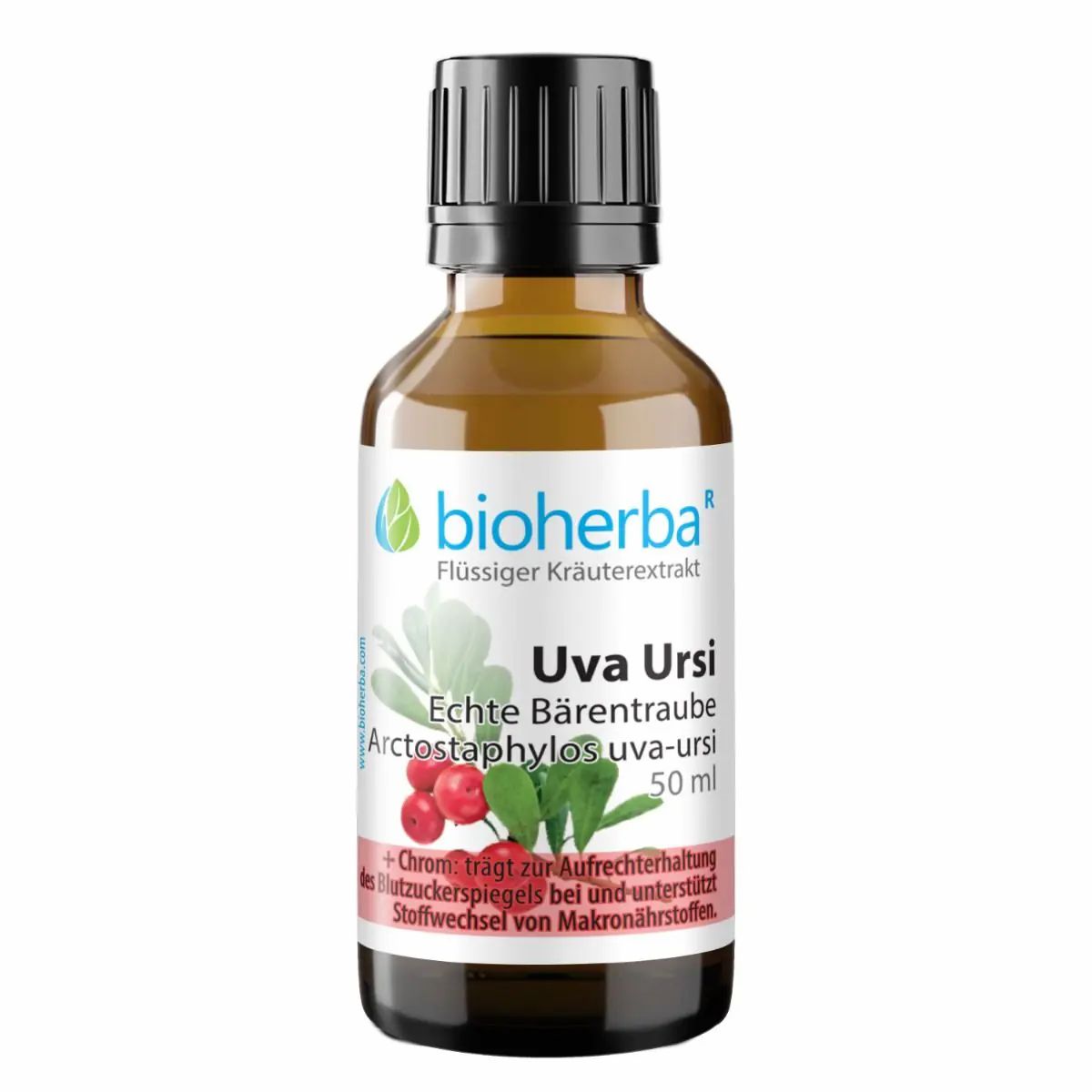 Bioherba Uva Ursi Echte Bärentraube Tropfen Tinktur Extrakt 50 ml