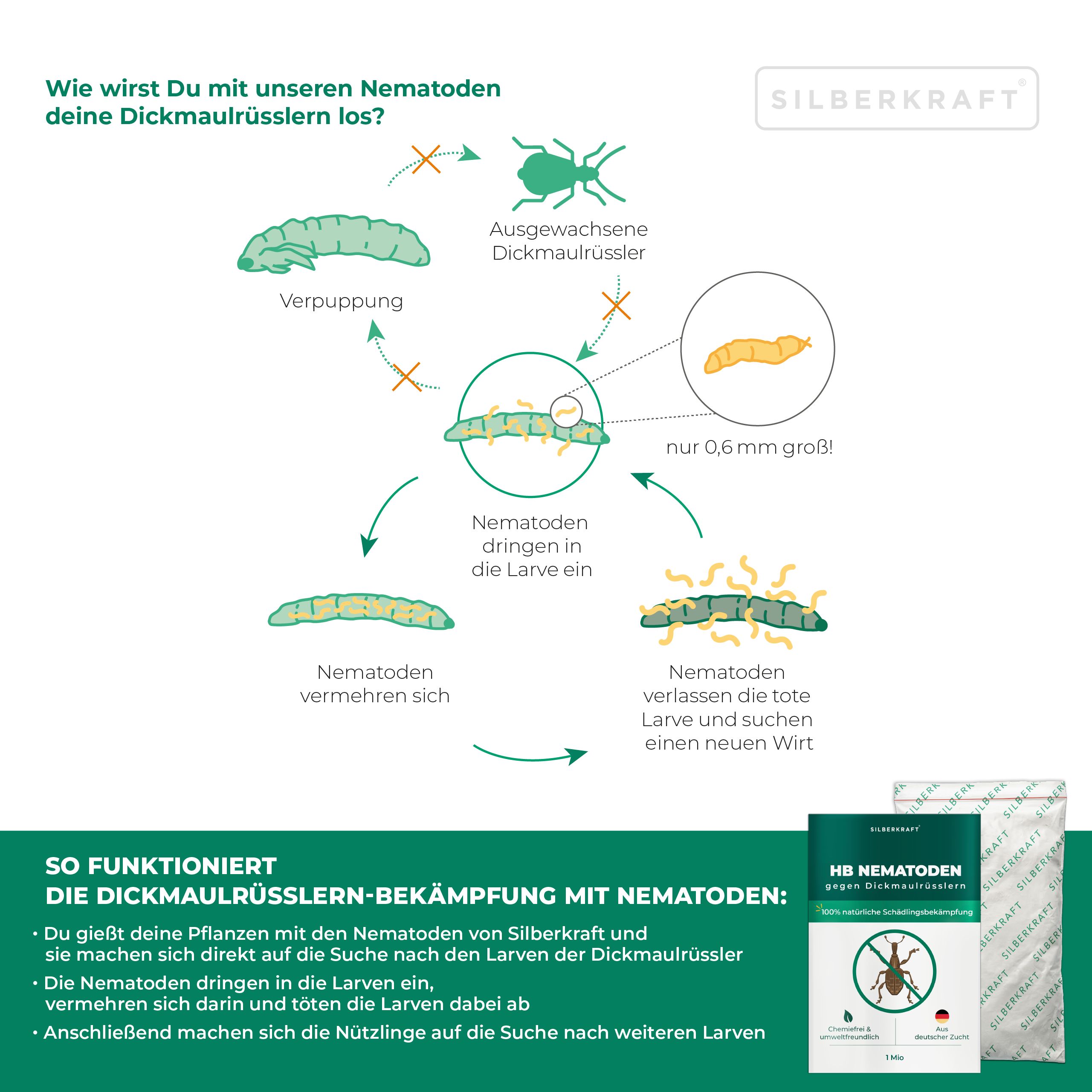 SILBERKRAFT HB Nematoden gegen Dickmaulrüsslern 25 Mio
