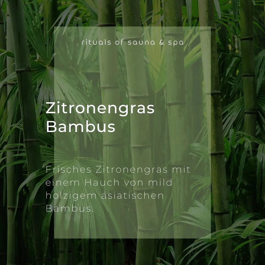 Zitronengras Bambus. Text auf grünem Hintergrund mit Bambus. Frisches Zitronengras mit holzigem Bambus-Aroma.