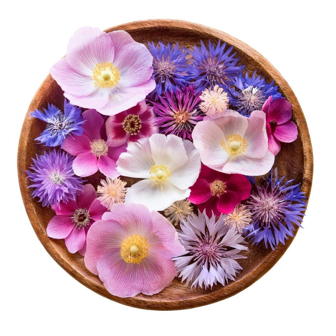 Holzschale mit bunten Blüten. Verschiedene Farben und Formen. Blütenblätter sichtbar. Auf weißem Hintergrund.