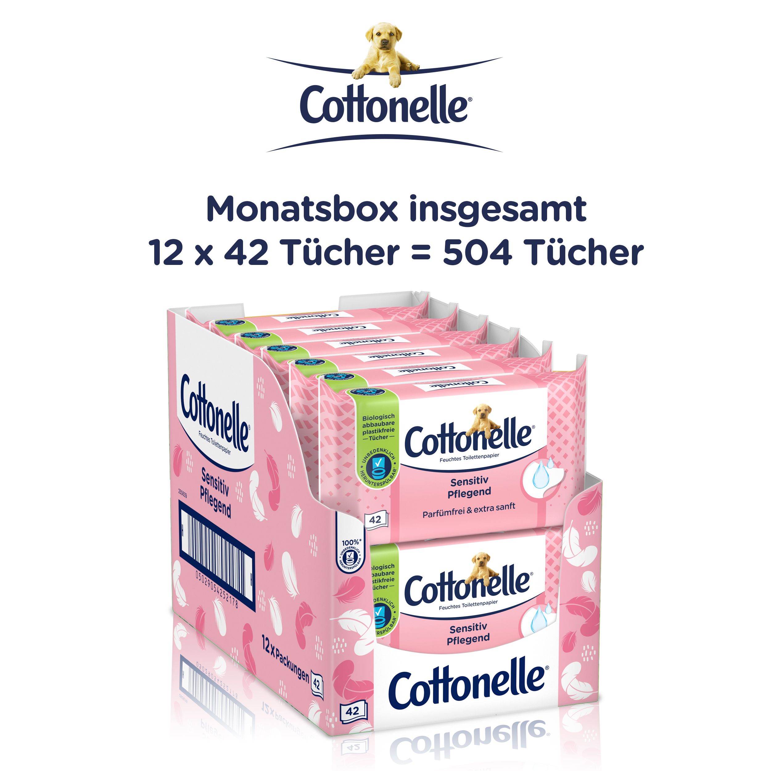Monatsbox mit Cottonelle-Packungen. Text: "Sensitiv Pflegend", "Parfümfrei & extra sanft". Logo: Cottonelle und ein Hundewelpen. 12x42 Tücher = 504 Tücher.