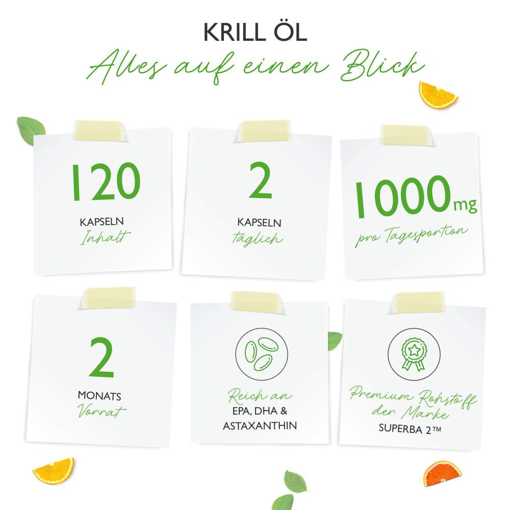 vit4ever Krill Öl