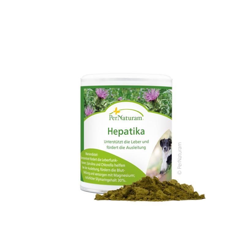 PerNaturam Hepatika 100 g Pulver