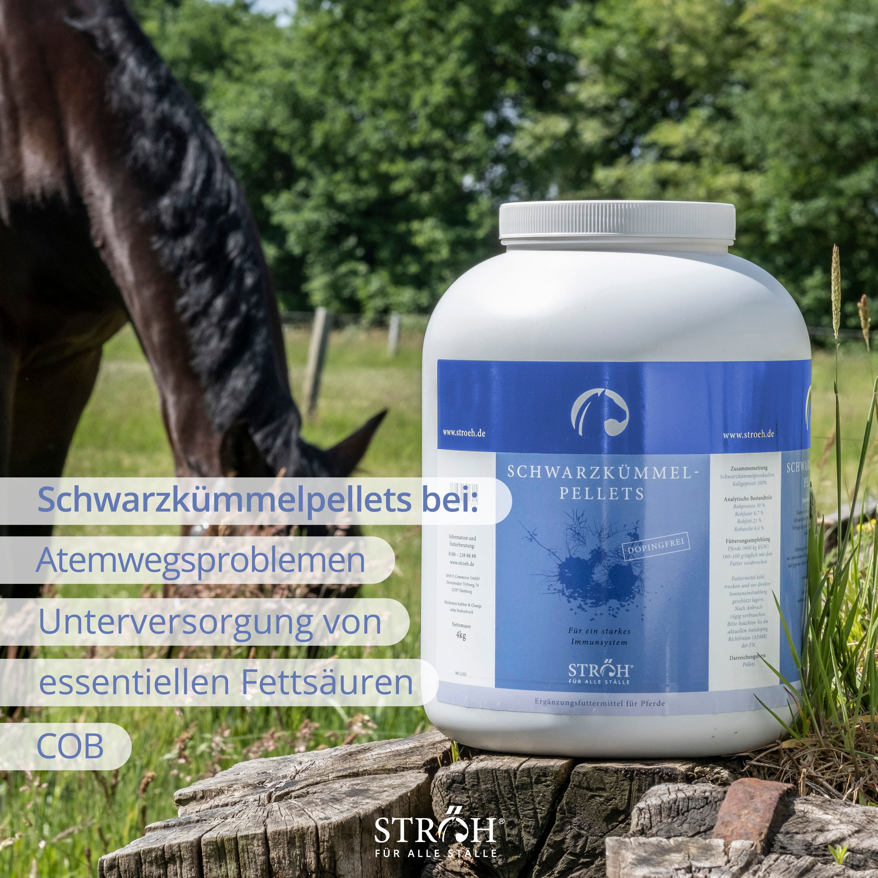 Pferd auf einer Weide. Kleiner Behälter mit Aufschrift Schwarzkümmel-Pellets. Text: Schwarzkümmelpellets bei: Atemwegsproblemen.
