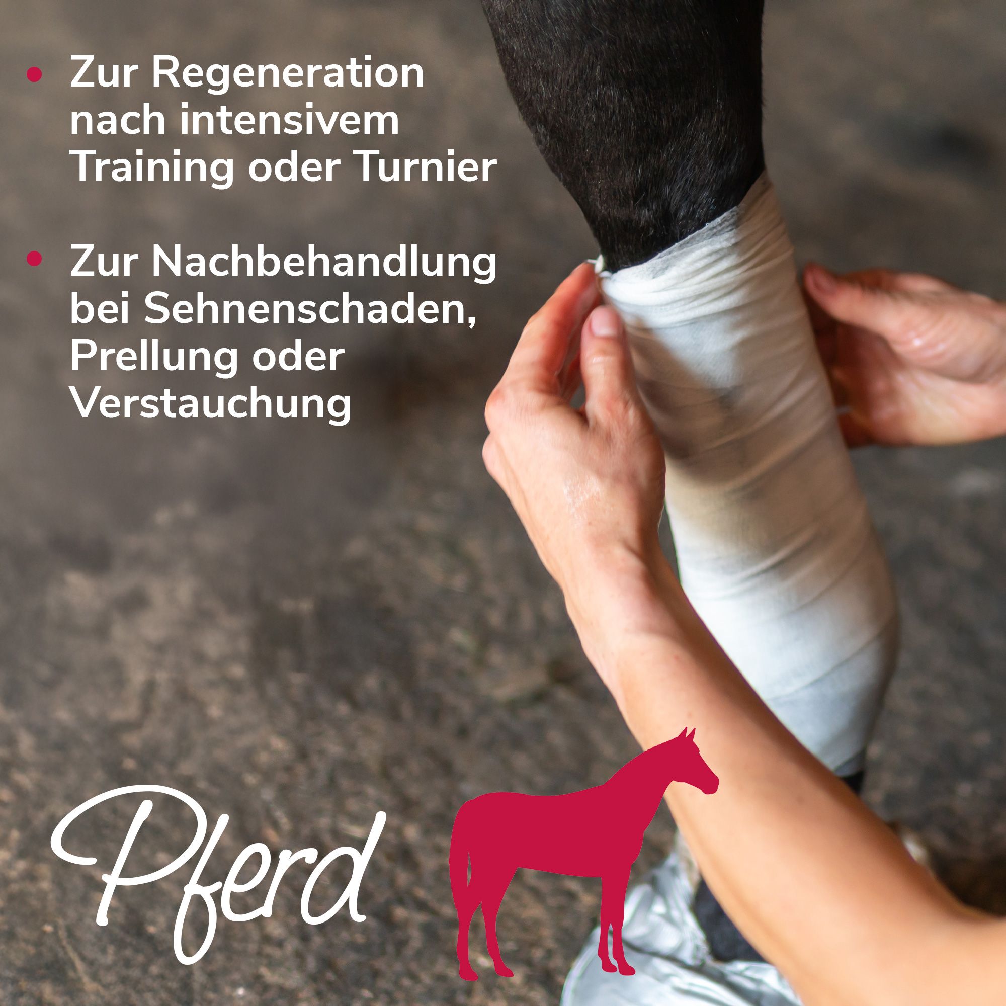 Arnikawunderwickel für Pferde, Hunde & Katzen