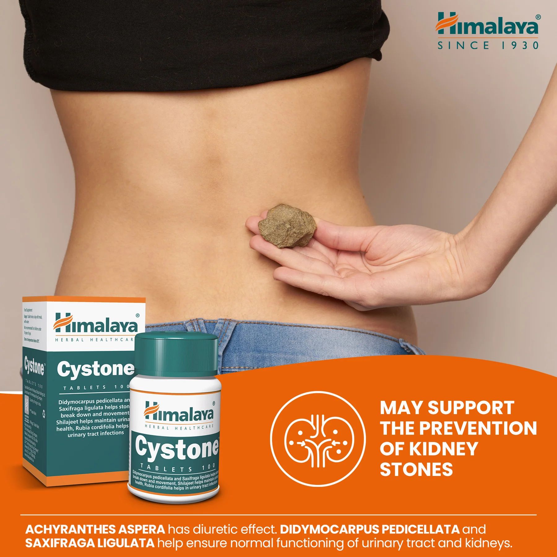 Himalaya Cystone Tabletten und eine Person, die einen Stein hält. Text: Kann die Vorbeugung von Nierensteinen unterstützen.