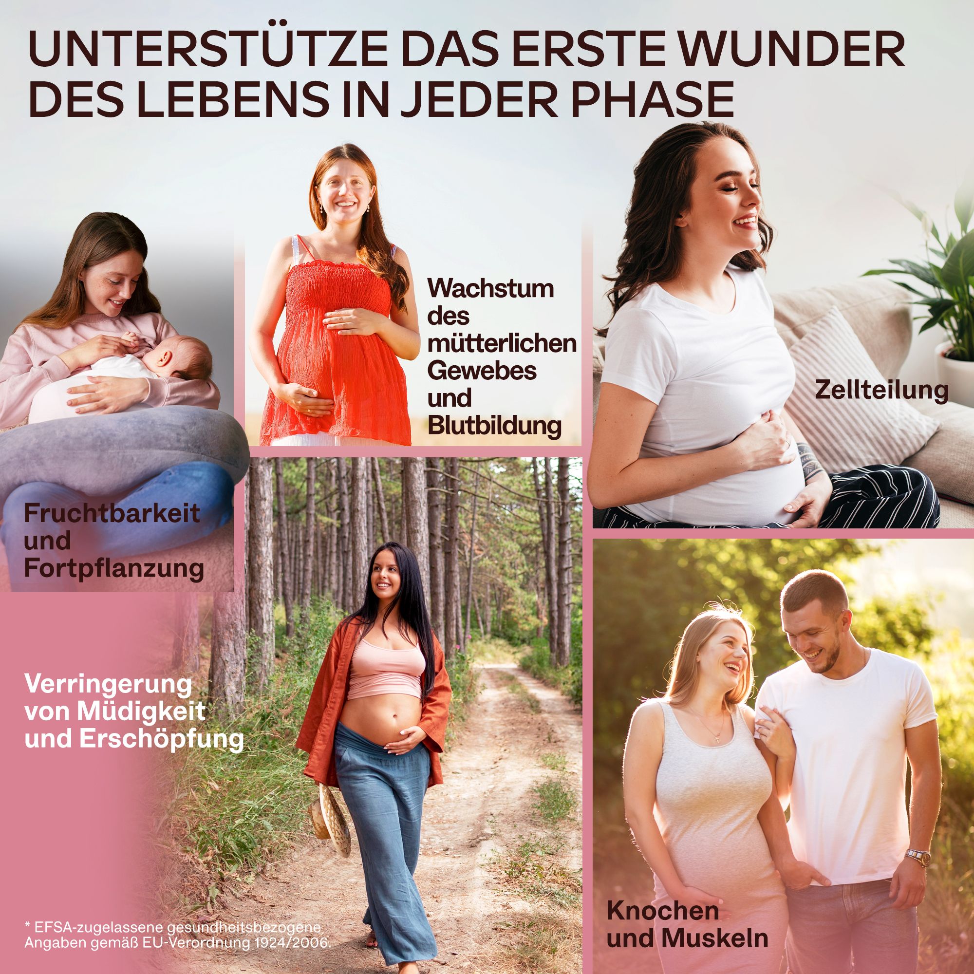 Aavalabs Folsäure-Kapseln. Flasche mit Kapseln. Enthält 120 Kapseln. Aufschrift: 400 μg Folsäure. Vegan.