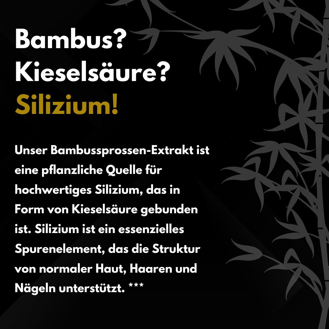 APOmia® male essentials. Haut-Haare-Nägel Komplex | Bambus-Extrakt Silizium Zink Biotin Selen Mann