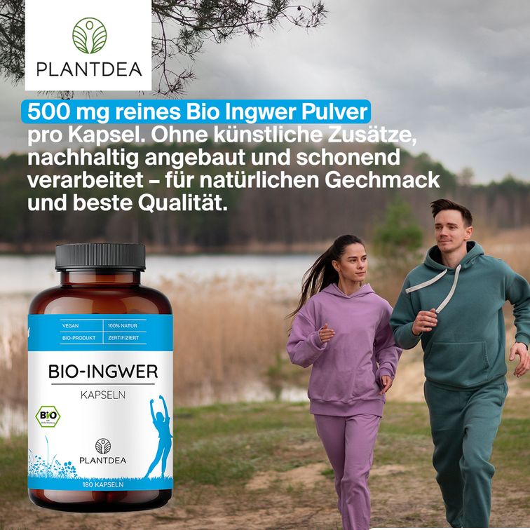 PlantDEA Bio Ingwer Kapseln