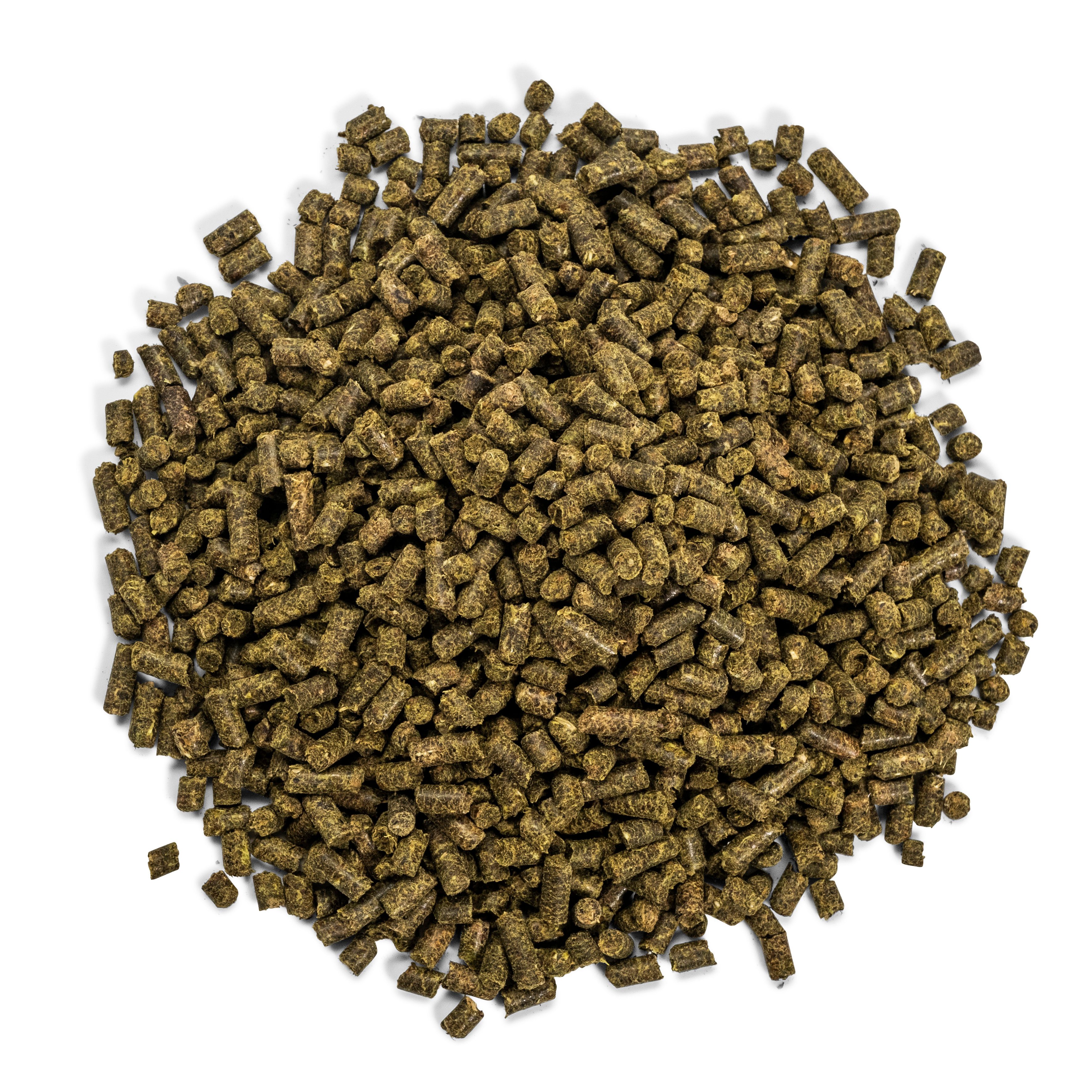 Haufen brauner Pellets. Die Pellets sind zylindrisch und haben eine unregelmäßige Oberfläche. Hintergrund ist weiß.