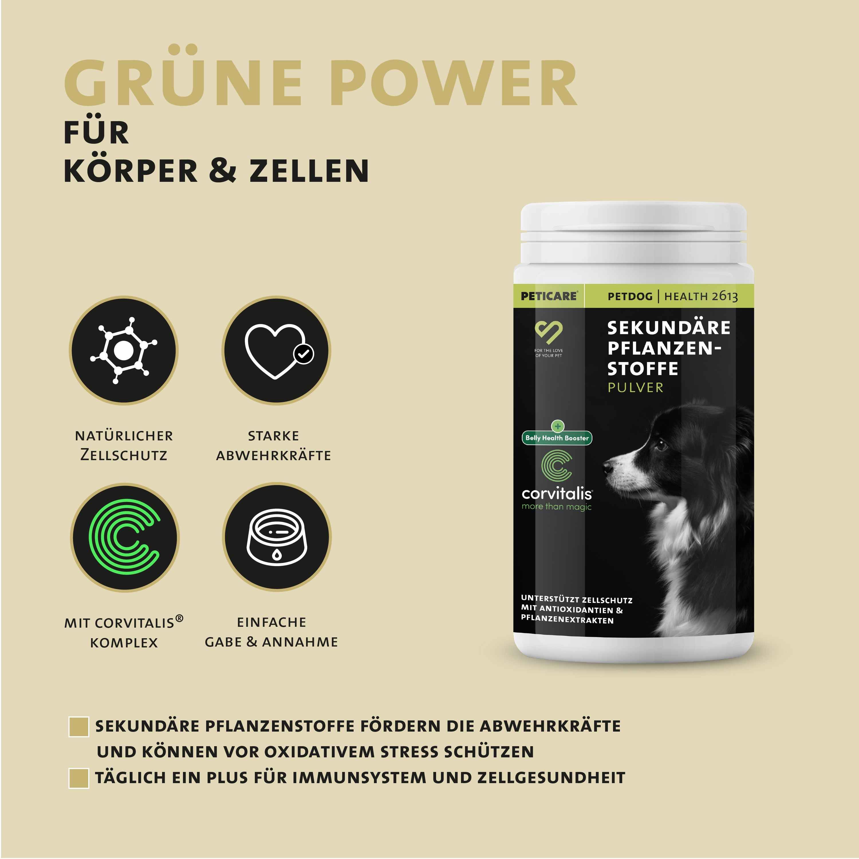 Peticare Natürliches Ergänzungsfutter für Herz & Kreislauf Pulver für Hunde