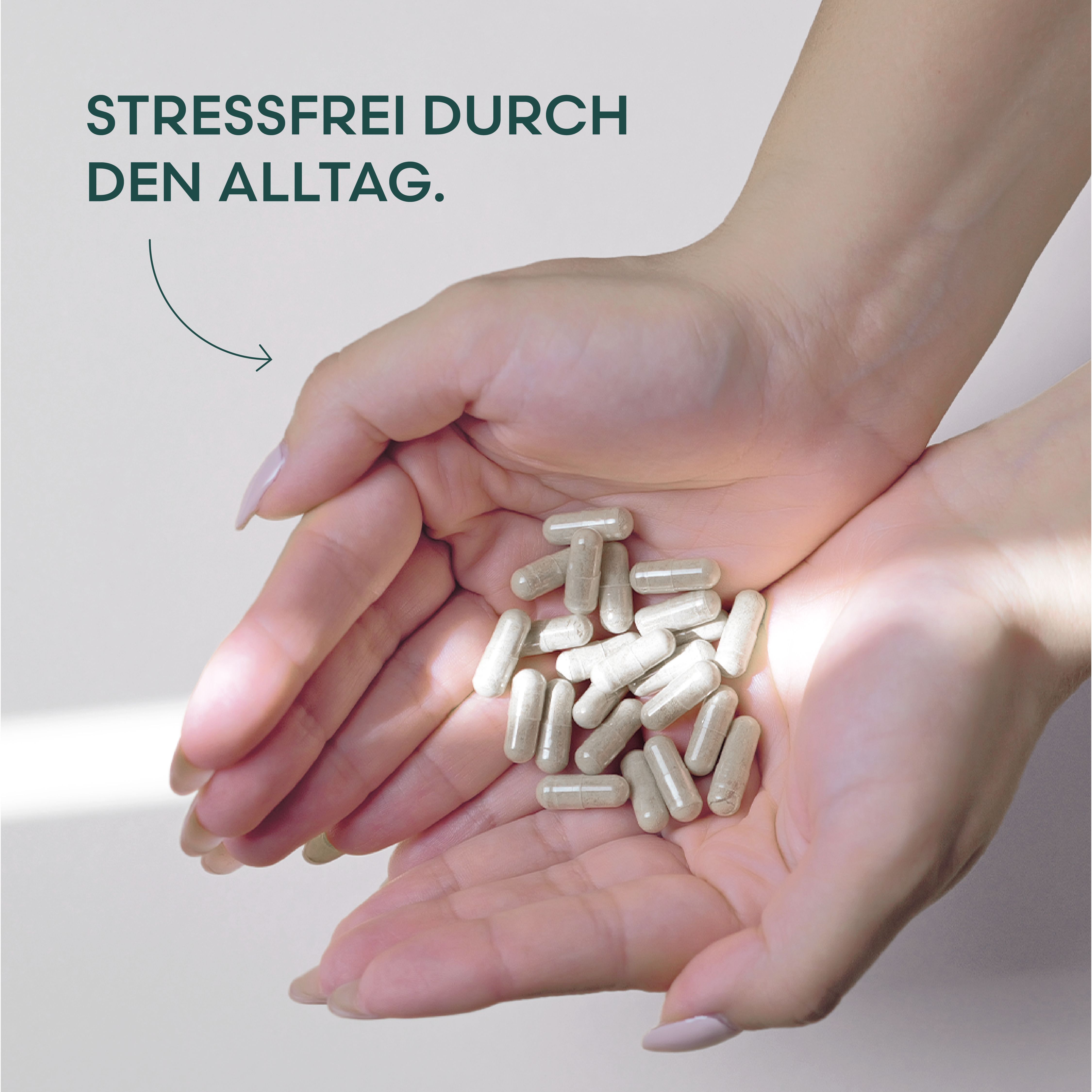 LIV Bio Ashwagandha 120 Kapseln KSM-66® ohne Füllstoffe