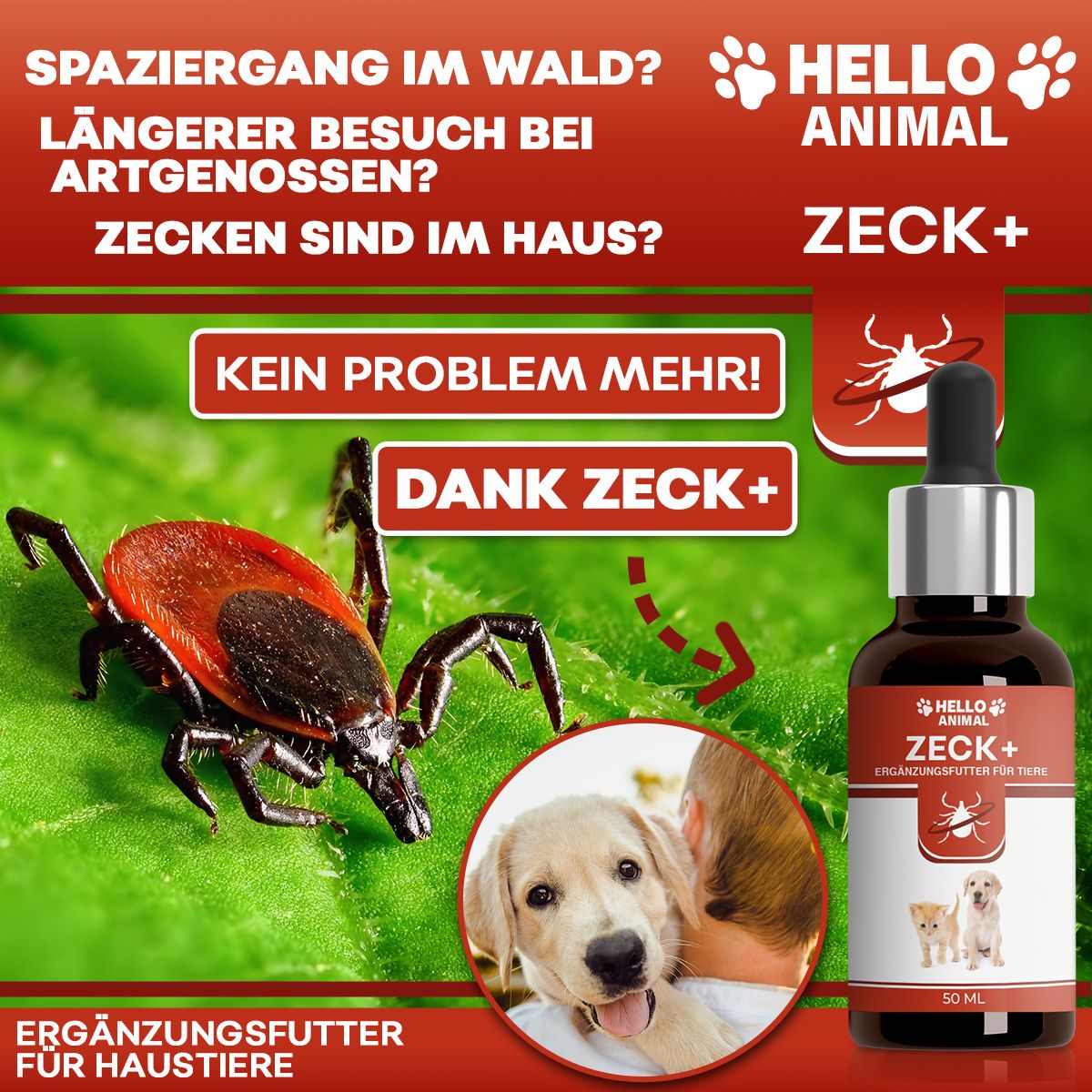 Produktflasche mit Tropfer, neben einer Zecke und einem Hund. Text: Hello Animal, Zeck+, Ergänzungsfutter für Haustiere.