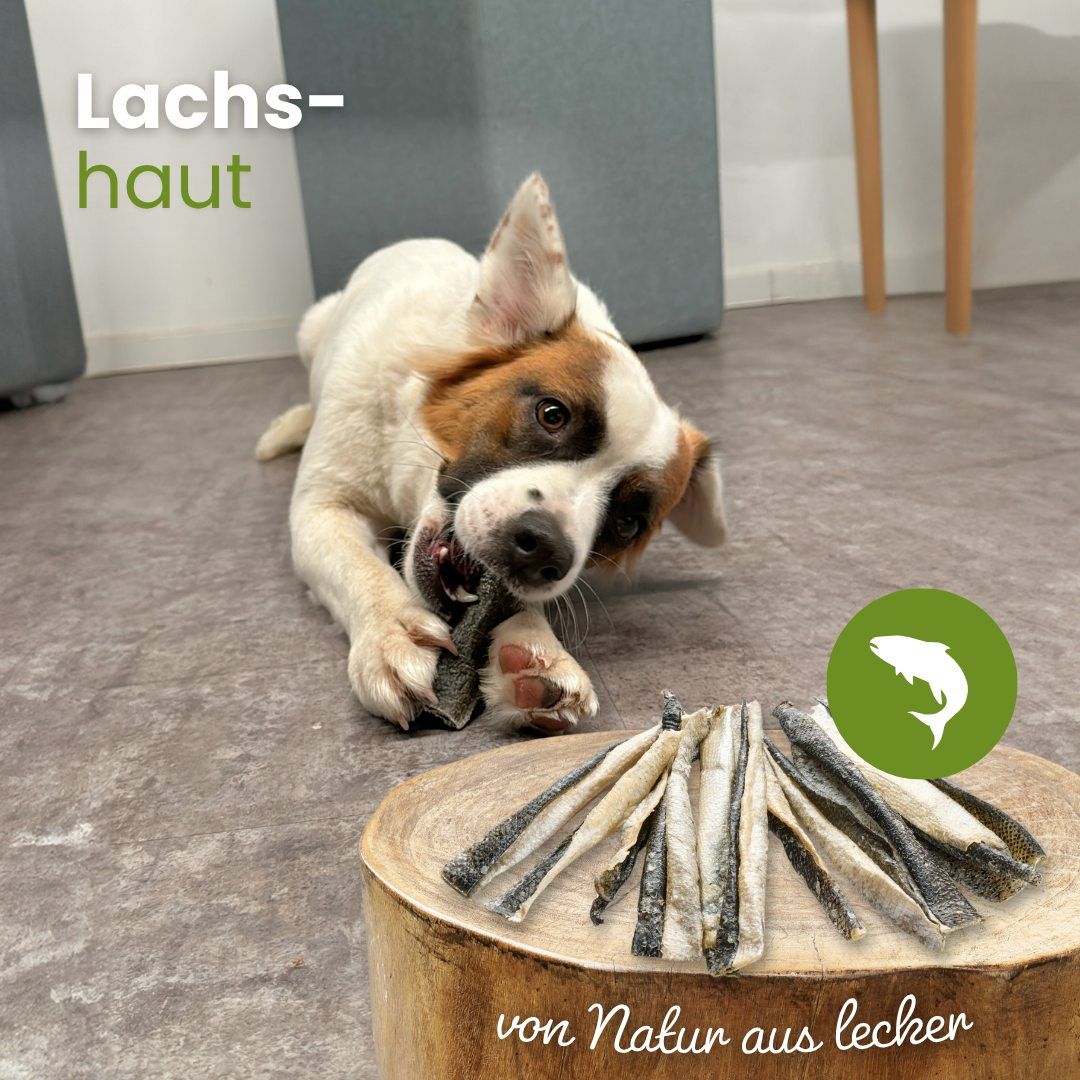 Getrocknete Lachshaut. Hoher Proteingehalt, 100% Lachs. Enthält wichtige Omega-3-Fettsäuren, geringer Fettanteil.