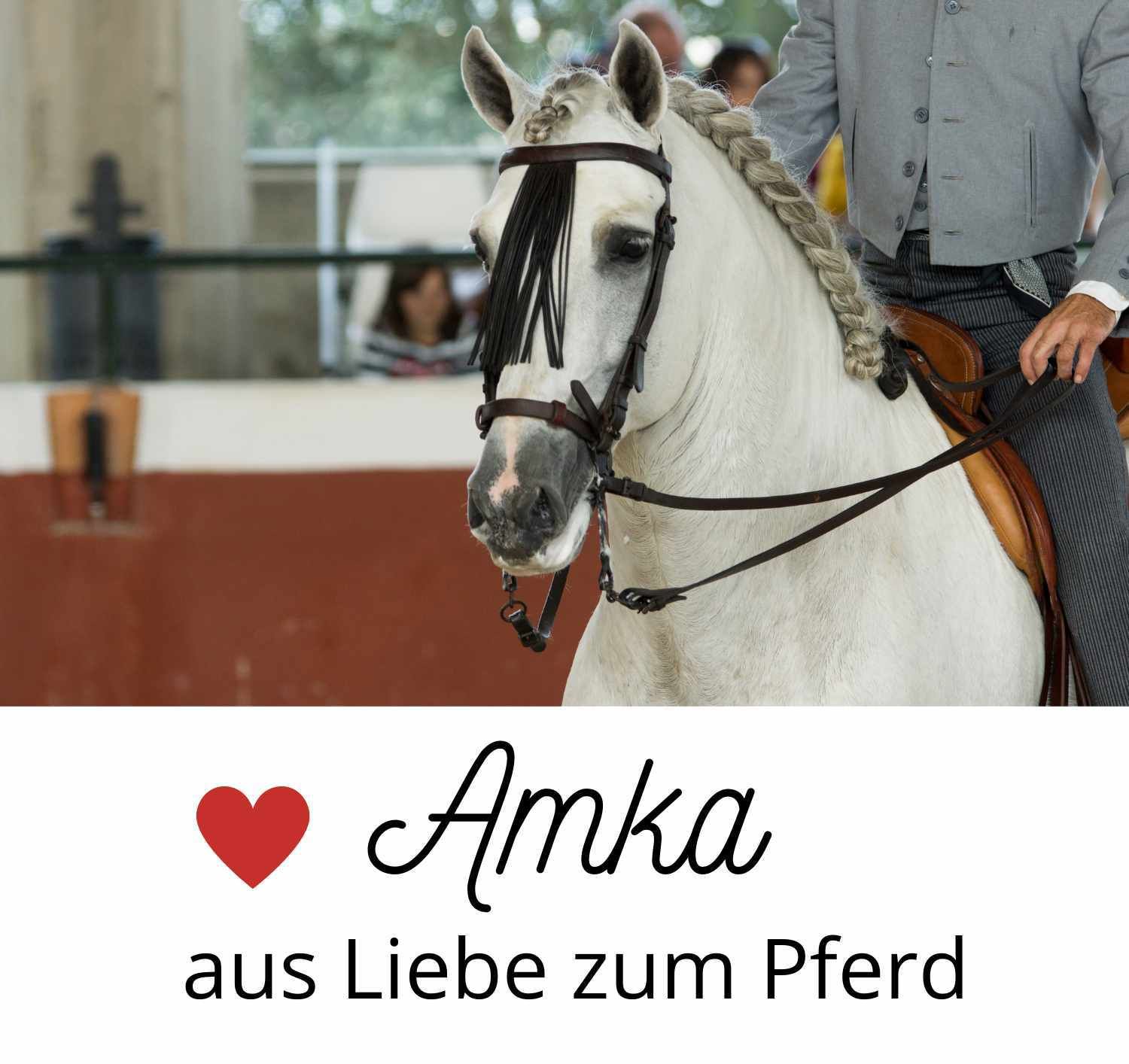 AMKA spanische Trense mit Lederzügel