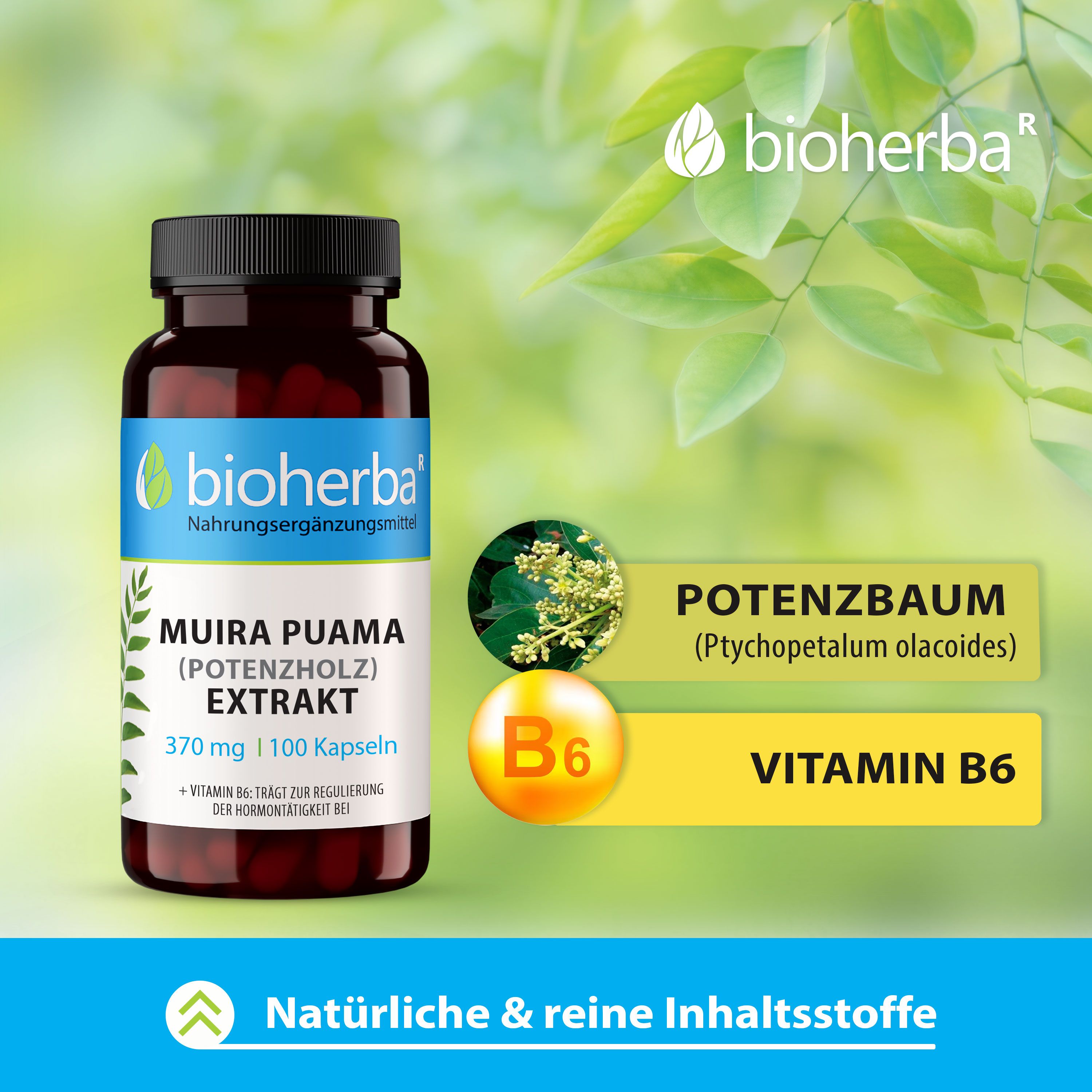 Bioherba Muira Puama (Potenzholz) Extrakt Kapseln