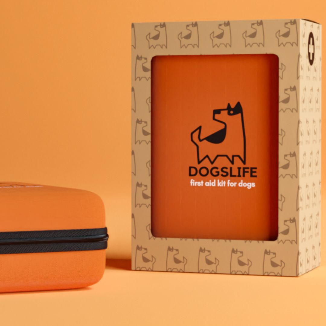 Erste-Hilfe-Kit und Verpackung. Orangefarbene Tasche und Pappschachtel mit DOGSLIFE-Logo. Hintergrund orangefarben.