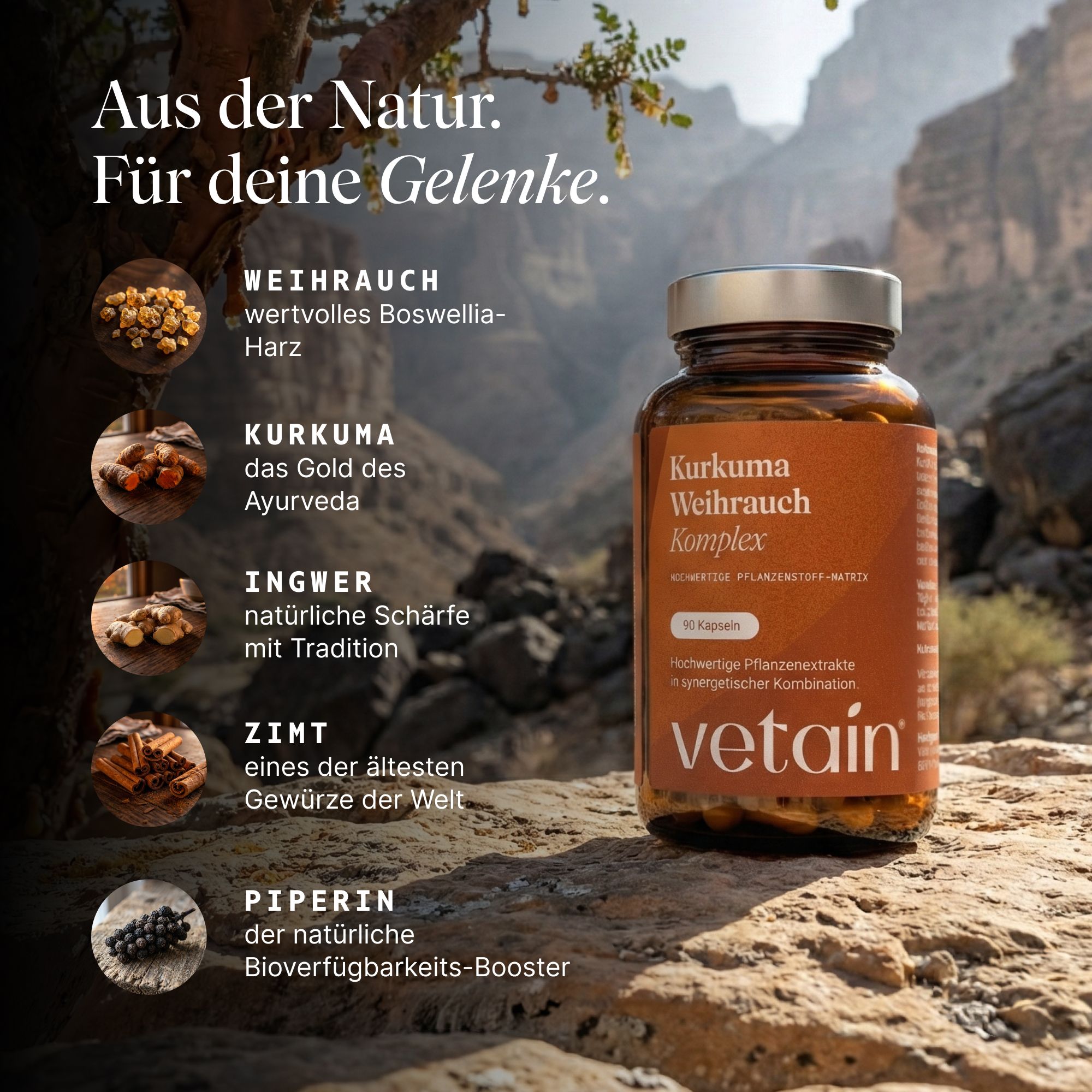 VETAIN Kurkuma Weihrauch Ingwer Komplex - 127mg Boswelliasäure & 105mg Curcumin - Mit Zimt & Piperin