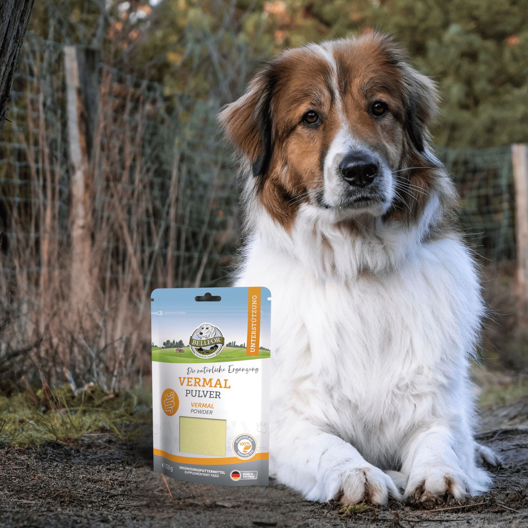 Hund sitzt neben einem Beutel mit Ergänzungsfuttermittel. Der Beutel zeigt Produktnamen und Logo.
