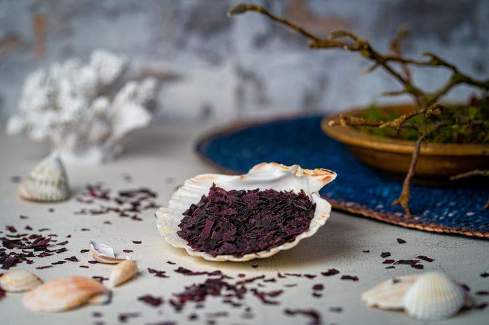 buXtrade Bio Dulse Flocken