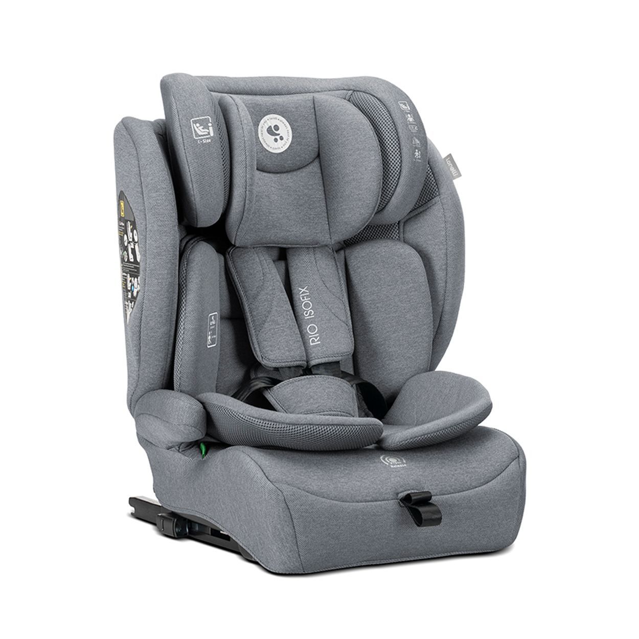 Lorelli Kindersitz Rio Isofix (76-150cm) 1 St