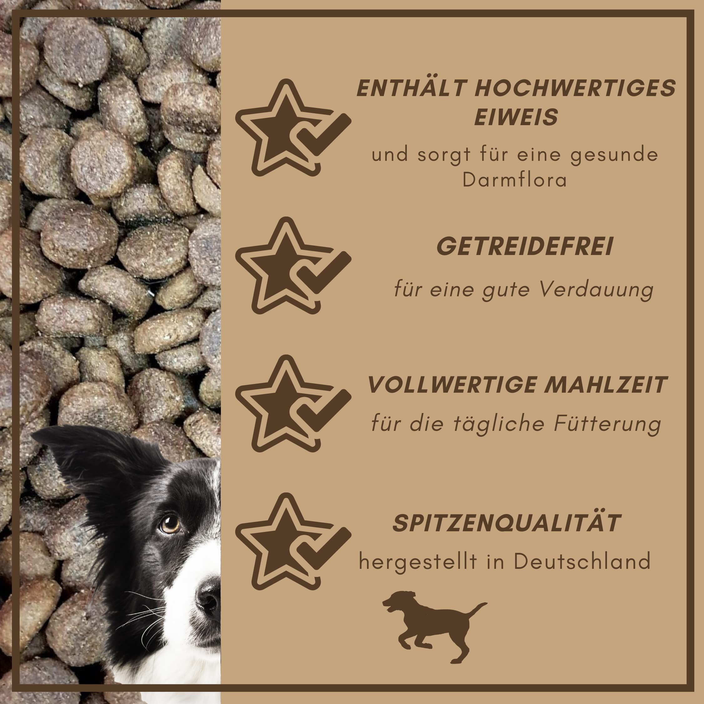 Text mit Sternen: Hochwertiges Eiweiß, Getreidefrei, Vollwertige Mahlzeit, Spitzenqualität. Hund.