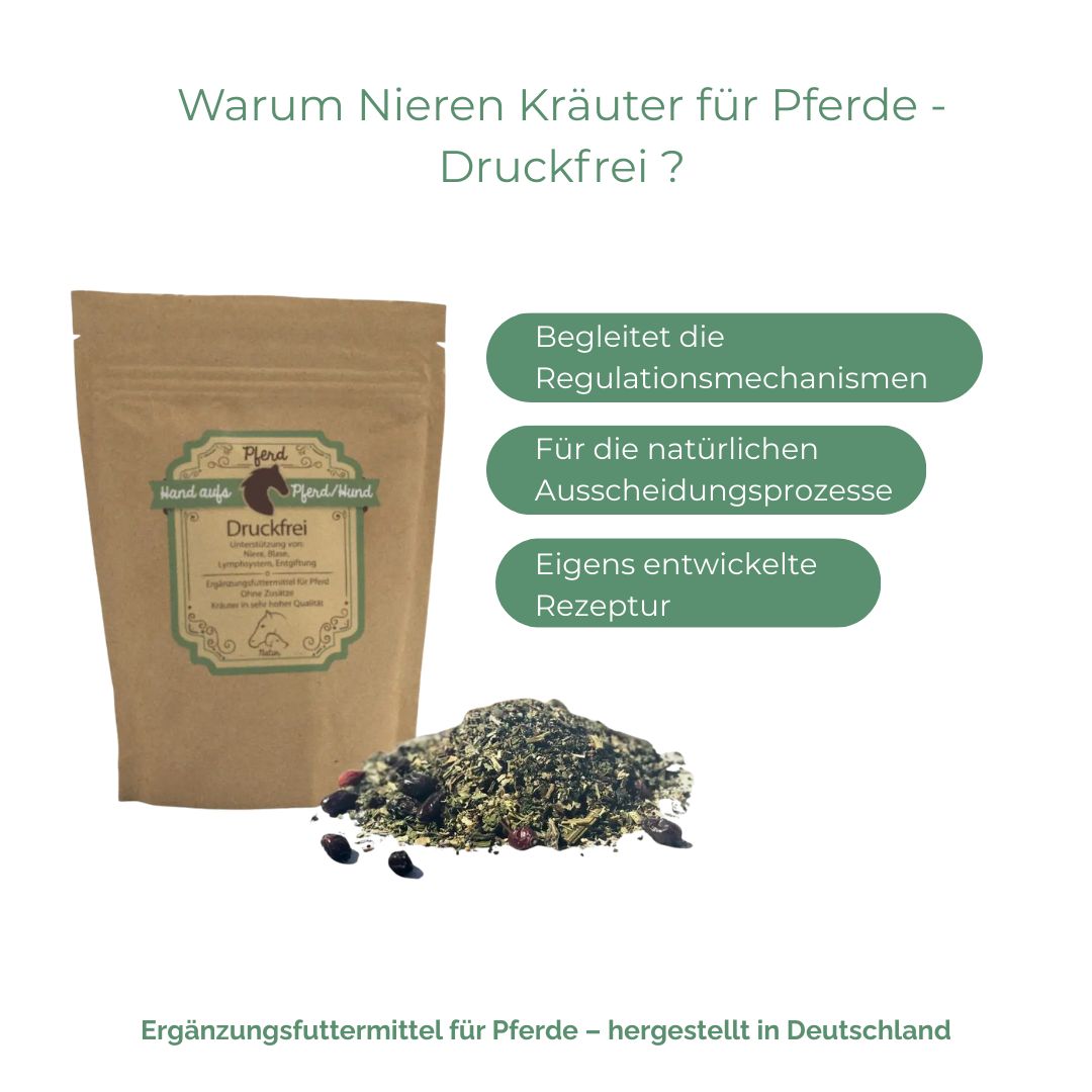 Beutel mit Kräutermischung und Text. Textblöcke mit Überschrift. Kräuter und Beeren daneben.