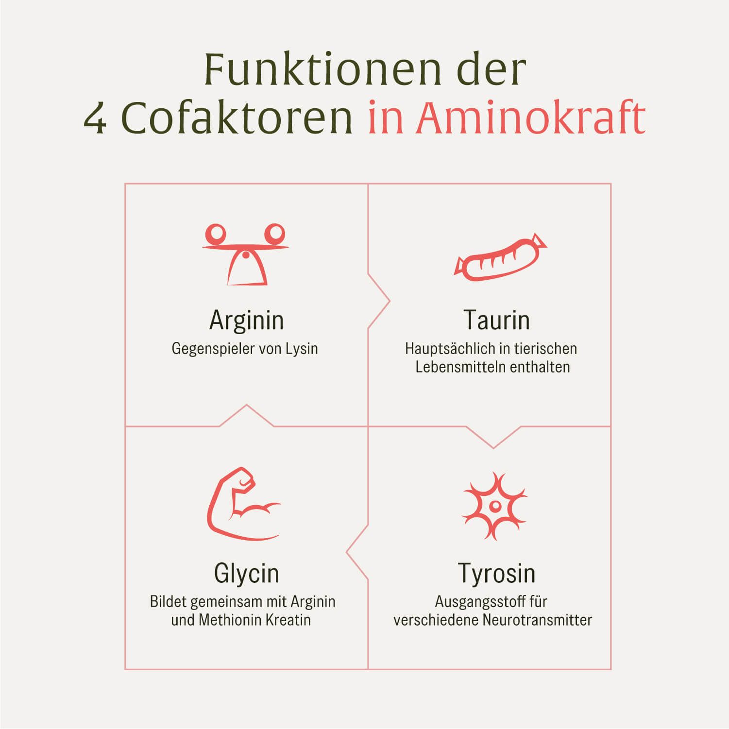 Infografik mit 4 Elementen. Text: Arginin, Taurin, Glycin, Tyrosin. Abbildungen von Organen und Lebensmitteln.