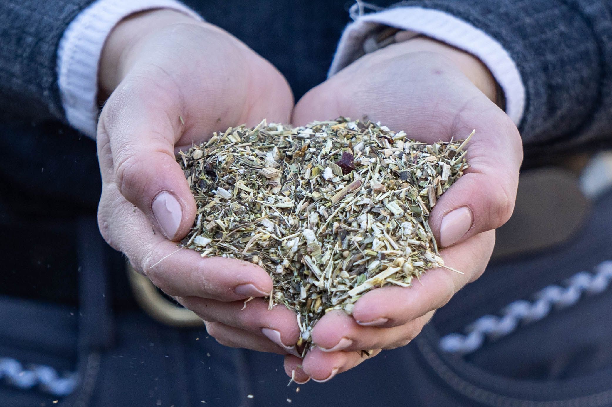 Hände halten eine Portion Kräutermischung. Die Kräuter sind zerkleinert und von unterschiedlicher Farbe.