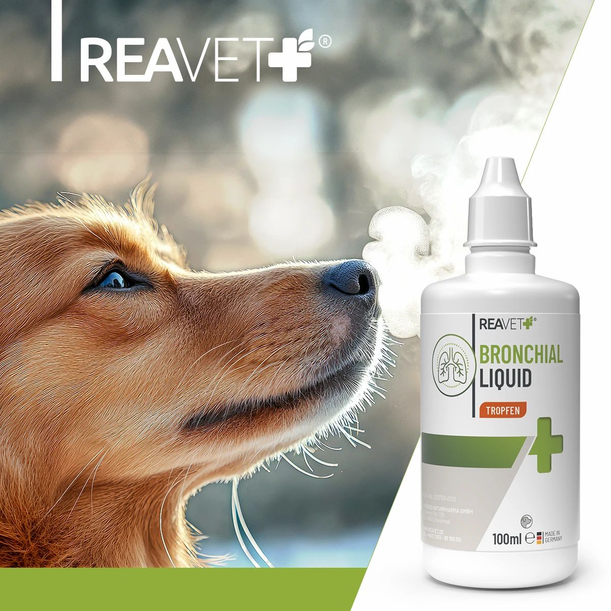 ReaVET Bronchial Liquid: Hund atmet Dampf aus. Flasche mit Etikett, das Lungen und ein grünes Kreuz zeigt. 100ml.