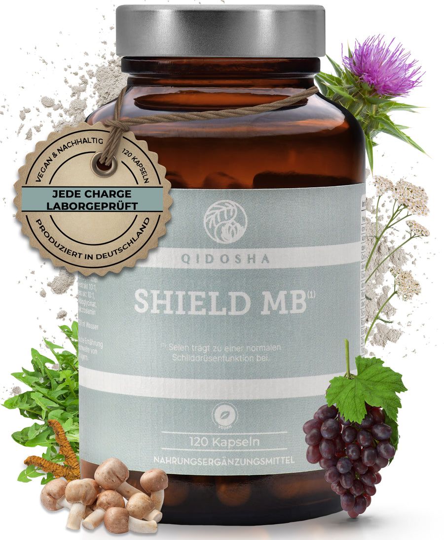 Braune Glasflasche mit Etikett. Aufschrift: QIDOSHA SHIELD MB, 120 Kapseln. Label: Vegan, Laborgeprüft, produziert in Deutschland.