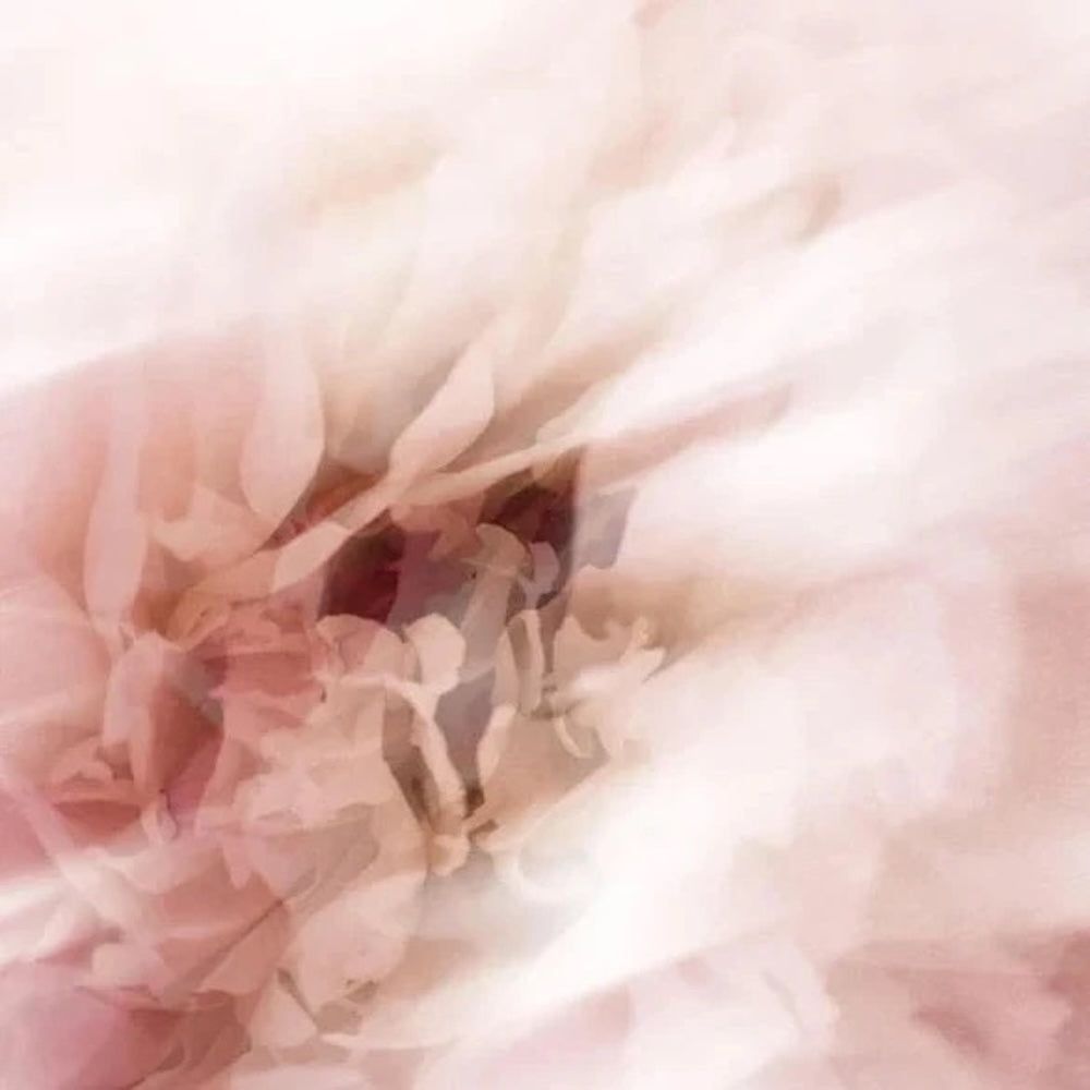 Zero Skin Kollagen-Booster Serum, hydratisierend glättend für trockene und reife Haut