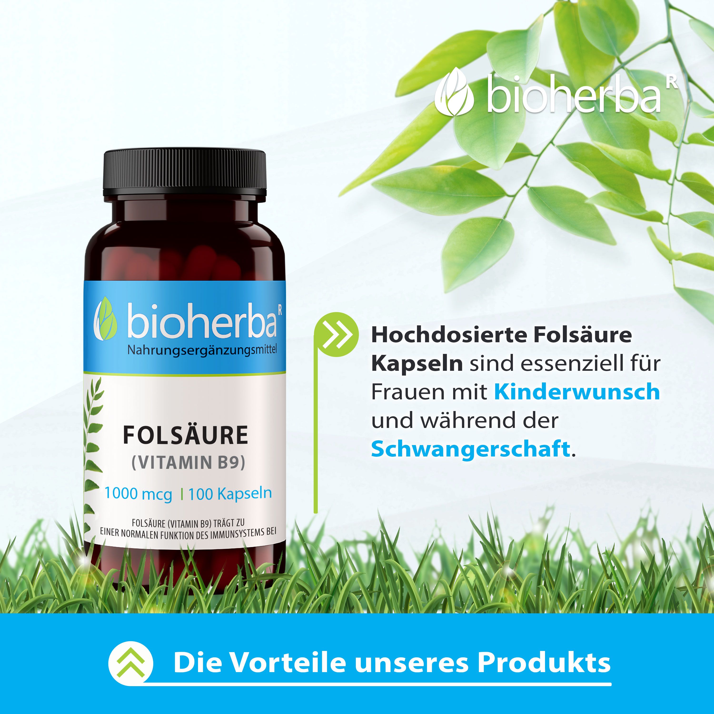 Bioherba Folsäure (Vitamin B9) Kapseln