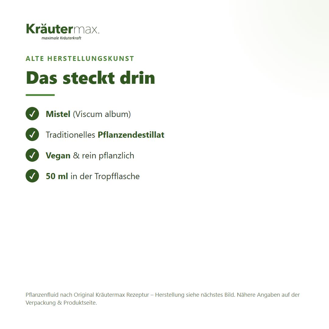 Infoboxen: Mistel (Viscum album), Traditionelles Pflanzendestillat, Vegan & rein pflanzlich, 50 ml in Tropfflasche.