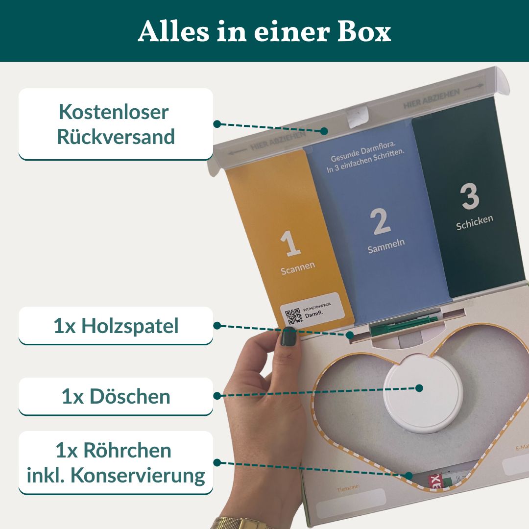 Geöffnete Box mit Testmaterialien: Holzspatel, Döschen, Röhrchen. Text: Alles in einer Box. Kostenloser Rückversand.