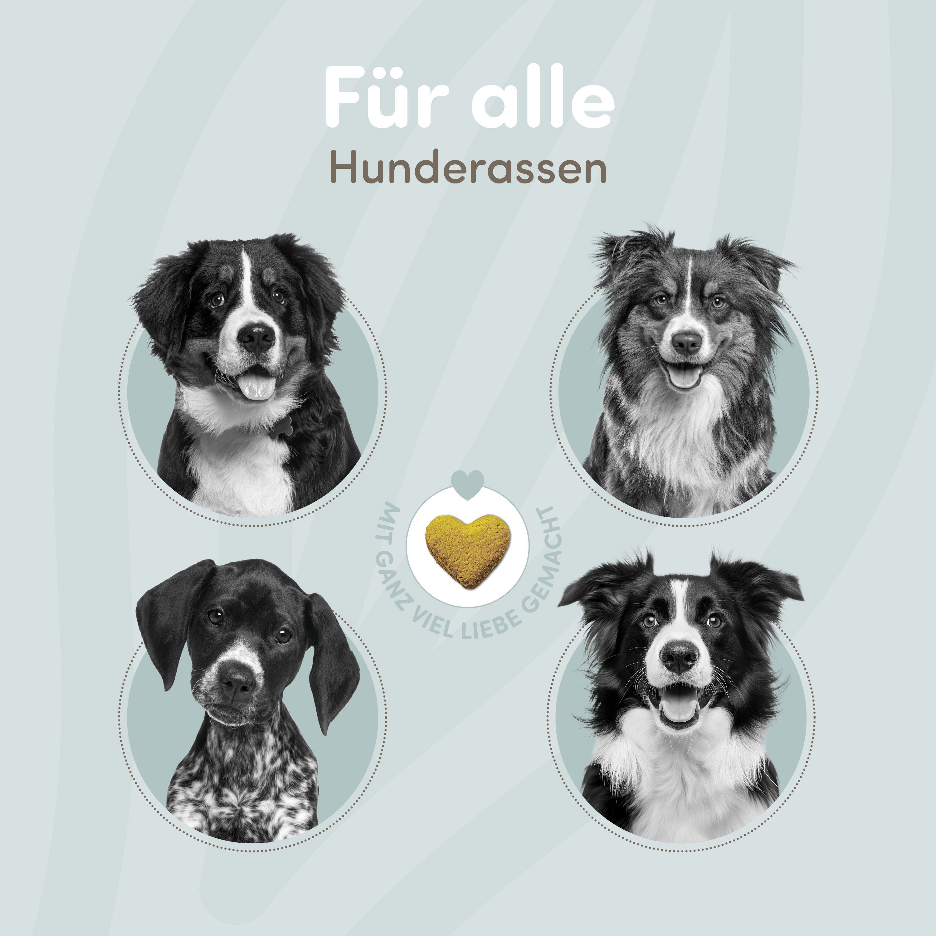 happycor® Mighty Move für Muskulatur, Kondition und Stabilität, natürlicher Funktionssnack