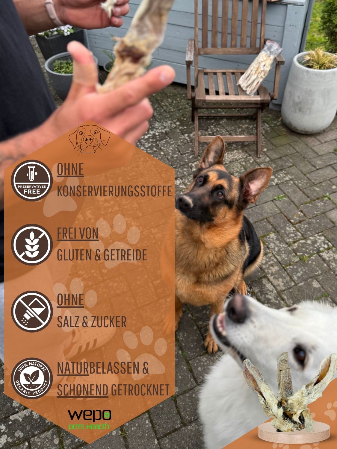 WEPO Kaninchenohren mit Fell - Getrocknete Hasenohren - Hundeleckerli