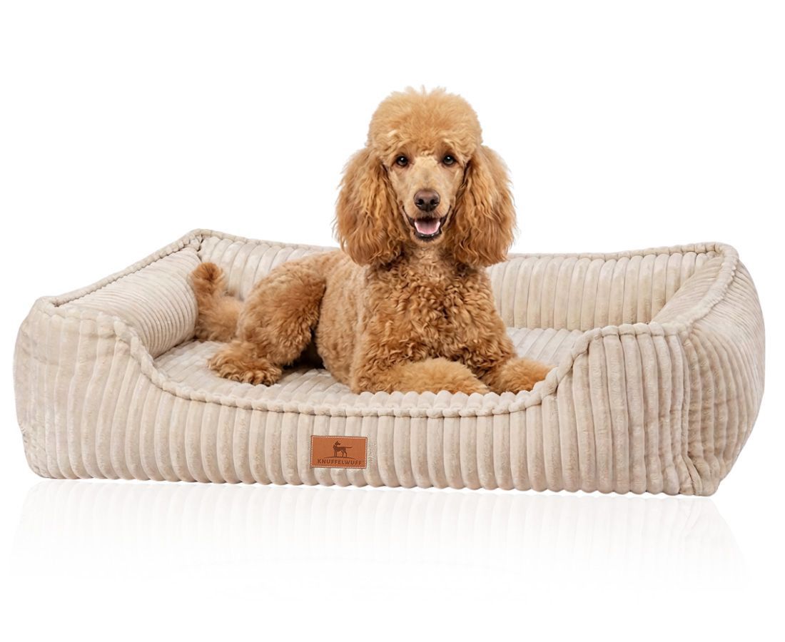 Beiges Hundebett aus Cord mit erhöhtem Rand und braunem Logo-Patch. Ein Pudel liegt darin.