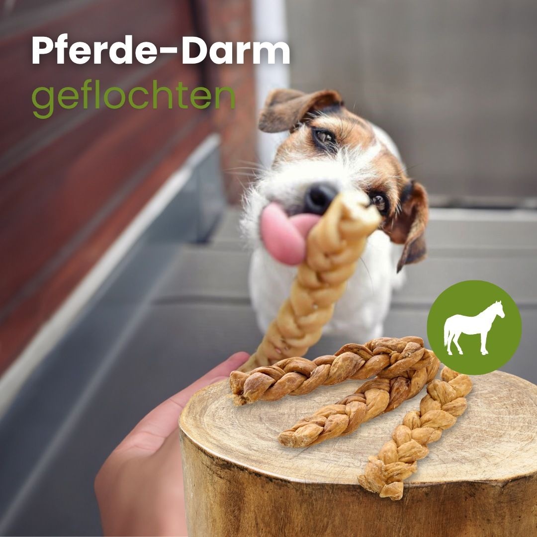Ein Hund kaut auf einem geflochtenen Pferde-Darm-Kauartikel, weitere liegen auf einem Holzstamm.