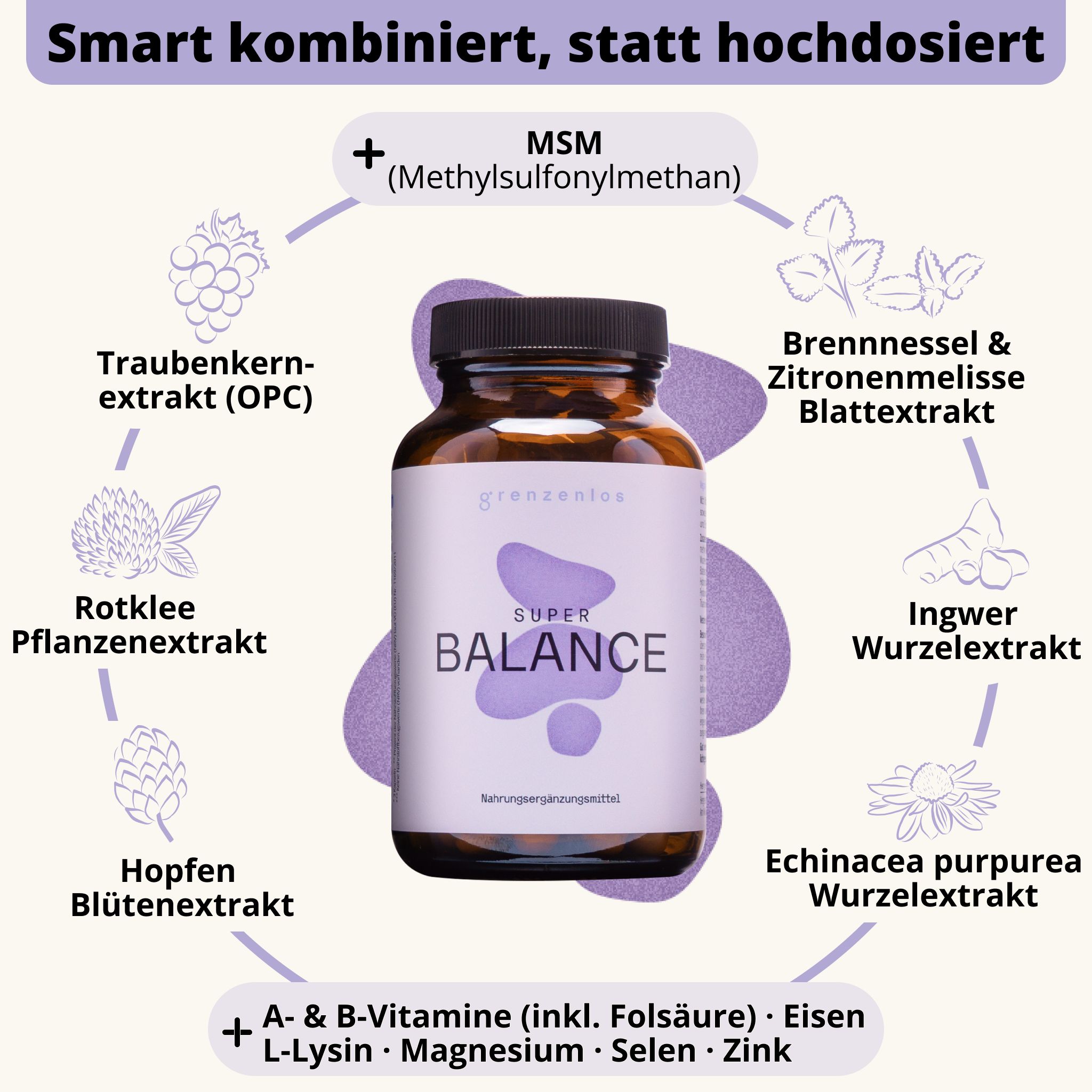 Schema der 19 Inhaltsstoffe von Super Balance, umgeben von einer Flasche.