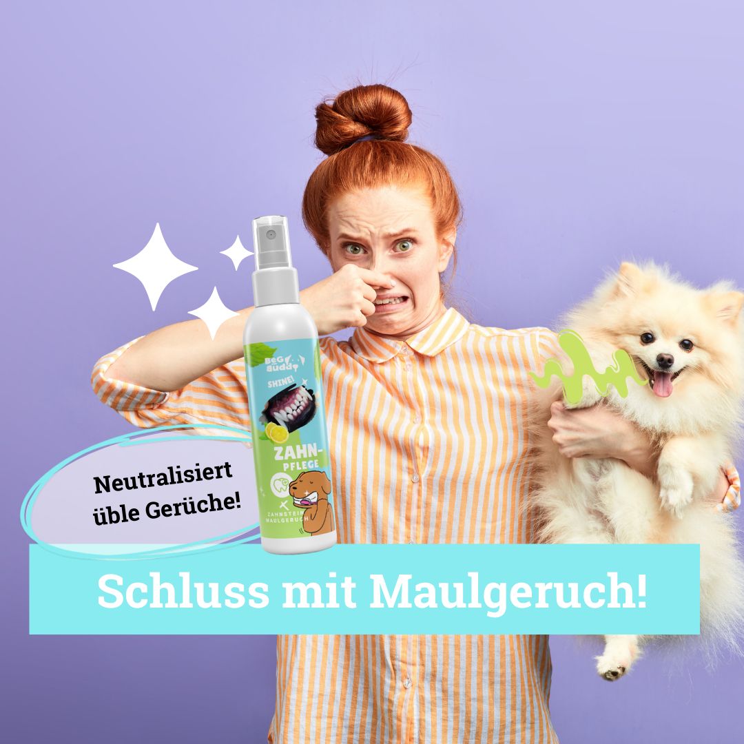 Frau hält Hund, hält sich die Nase zu. Daneben Zahnpflege-Spray. Text: Schluss mit Maulgeruch! Neutralisiert üble Gerüche!